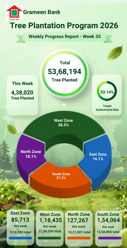 Tree Plantation